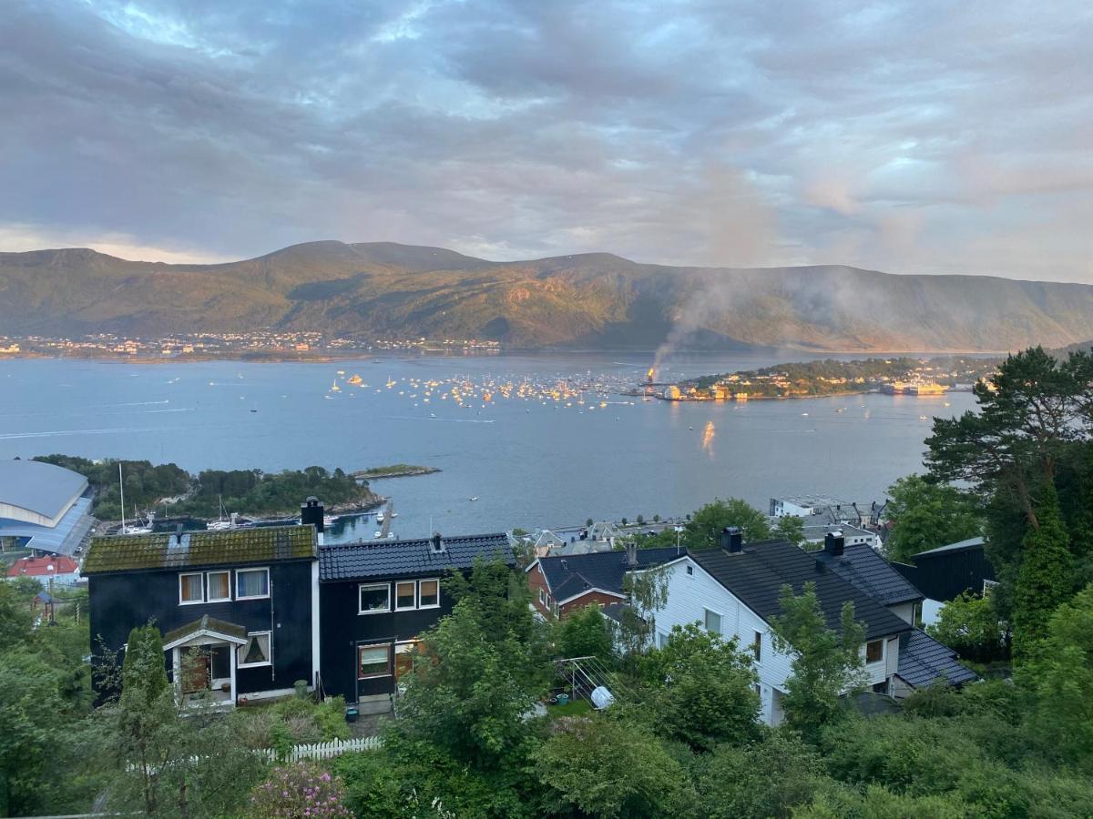 Great Place With View To The Mountains And Fjord オーレスン エクステリア 写真
