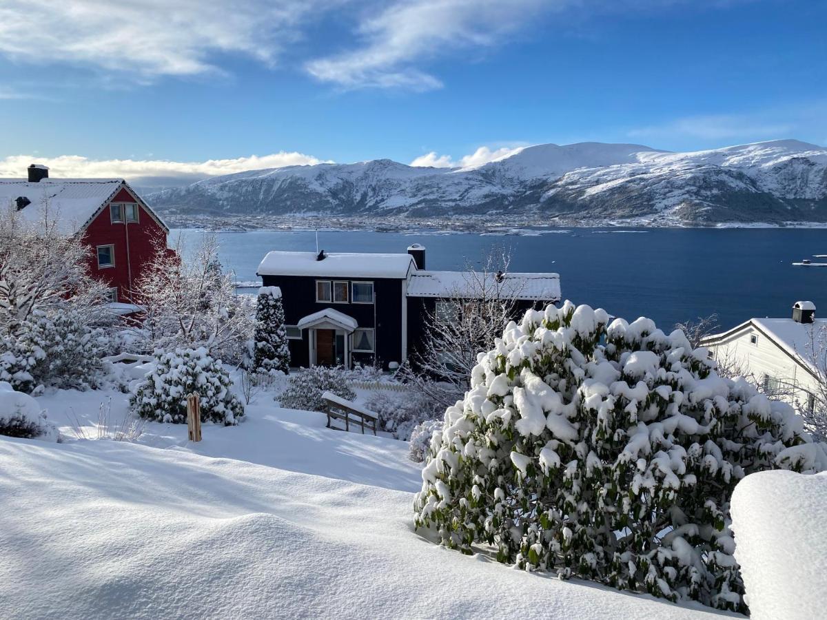 Great Place With View To The Mountains And Fjord オーレスン エクステリア 写真